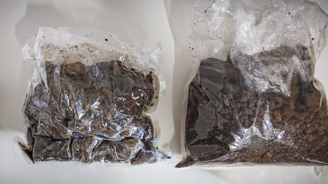 Zoll stellt Drogen und Bargeld sicher