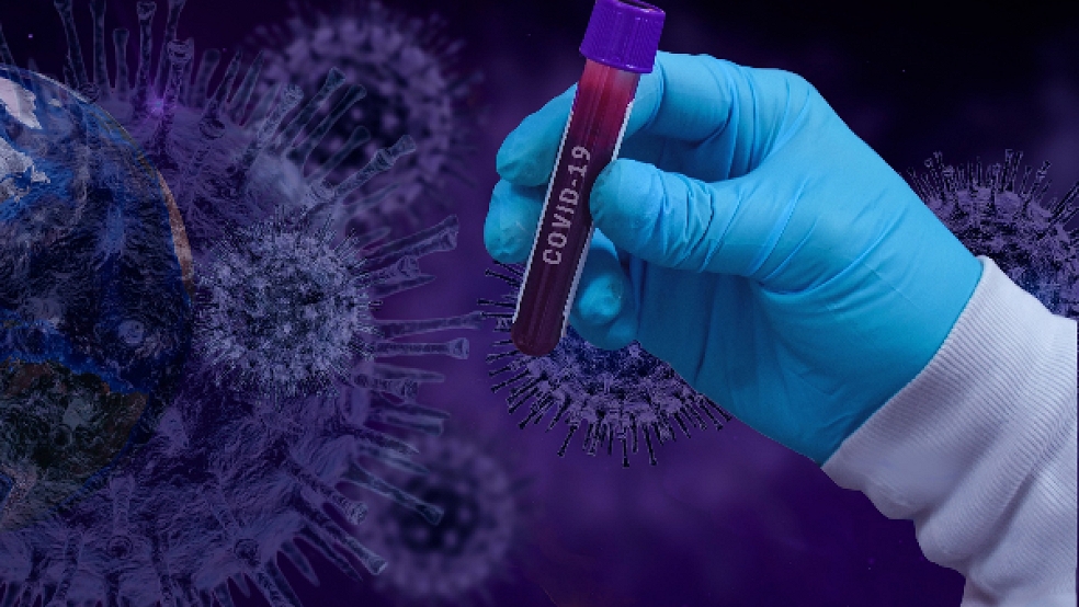 Das Corona-Virus hat an diesem Wochenende ein weiteres Todesopfer im Landkreis Leer gefordert.  © Foto: Symbolbild: Pixabay