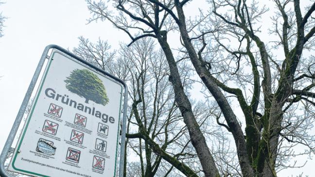 Alte Hesse-Giganten fallen