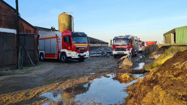 Feuerwehr befreit eingeklemmte Kuh