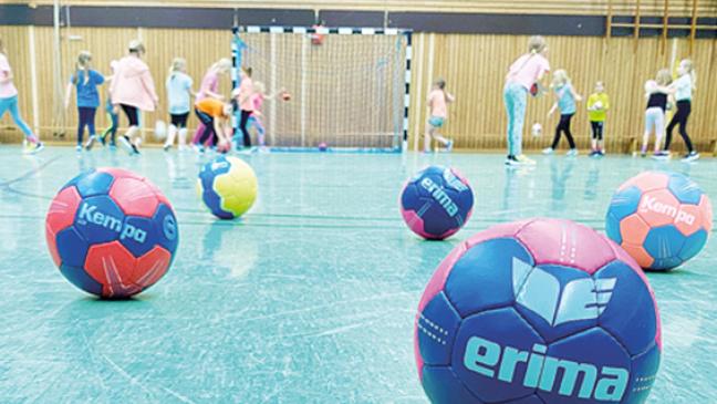 Handball-Jugend wächst und gedeiht