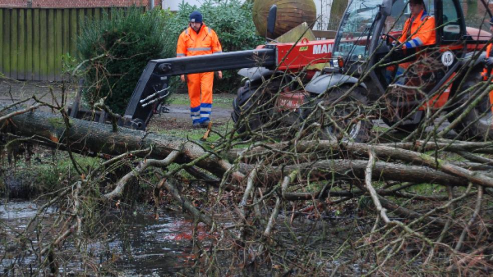 Unser Bild ist entstanden, als Bauhof-Mitarbeiter gerade mit einem Teleskoplader einen großen Teil des gefällten Ahornbaums aus dem Stadtpark-Teich holten.  © Foto: Hoegen
