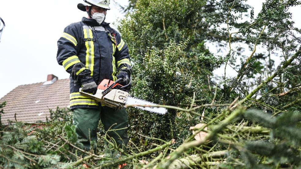 Die Feuerwehr Weener und das Technische Hilfswerk (THW) aus Leer beseitigten am Donnerstagmittag einen umgestürzten Baum in Stapelmoor © Foto: Klemmer