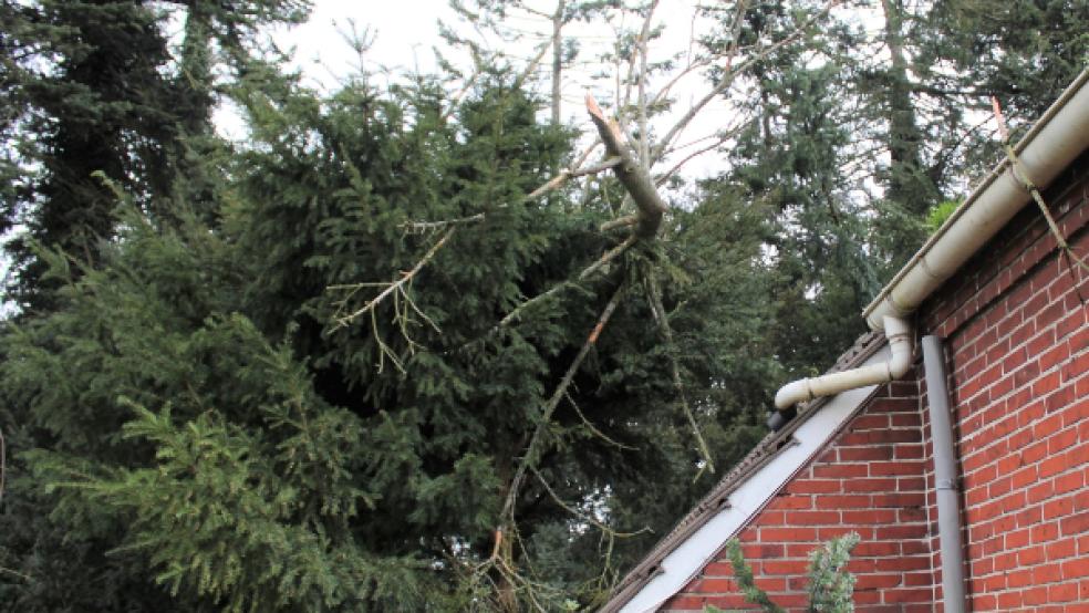 Als die Einsatzkräfte eintrafen, war bereits ein dicker Ast auf das Dach des Hauses gestürzt. © Foto: Rand (Feuerwehr)