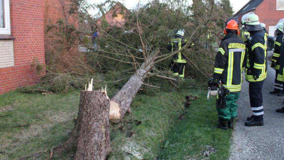 Die Einsatzkräfte der Feuerwehr Weenermoor griffen zur Kettensäge. © Foto: Rand (Feuerwehr)