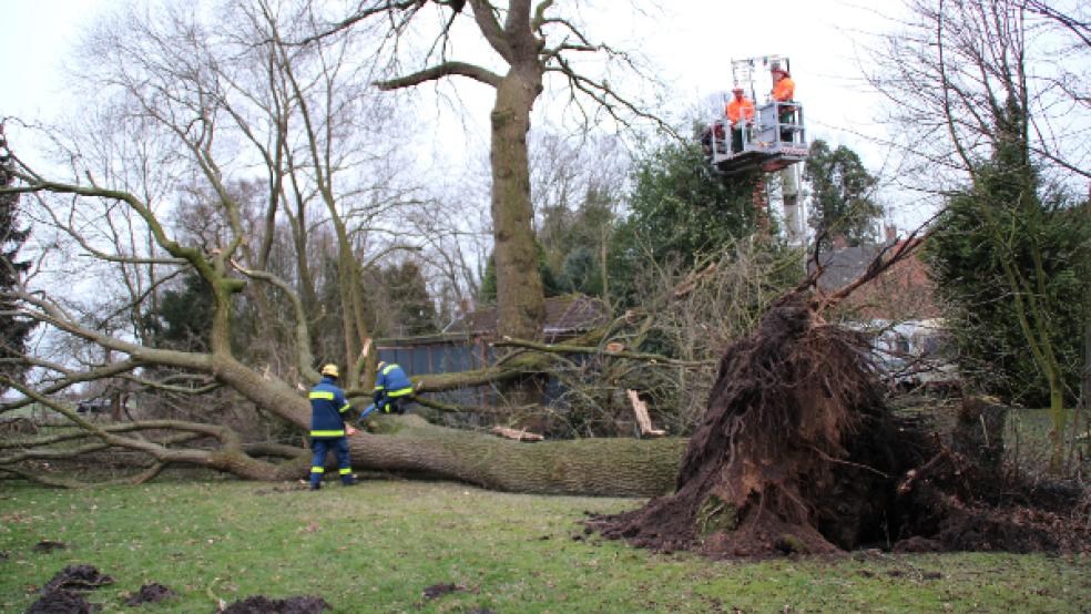 In Weenermoor arbeiteten die Feuerwehren und das THW Hand in Hand.  © Foto: Rand (Feuerwehr) 