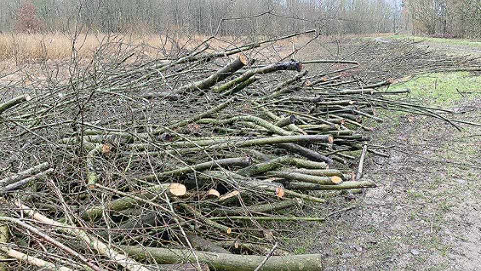 Schon seit Anfang Februar wird im Regenrückhaltebecken auf der Gaste in Weener intensiv gerodet - eine Maßnahme von vielen im Stadtbereich.  © Foto: Hanken