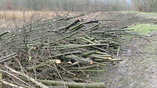 Scharfer Schnitt bis zum letzten Tag