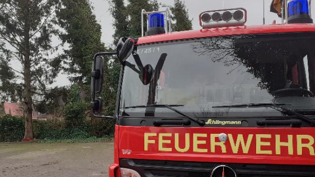 Tanne in Schieflage geraten