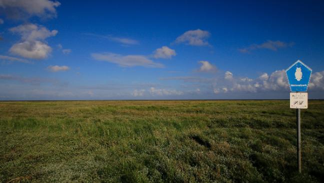 »Natur Natur sein lassen«