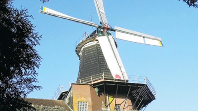 Friedensgruß auf Flügeln