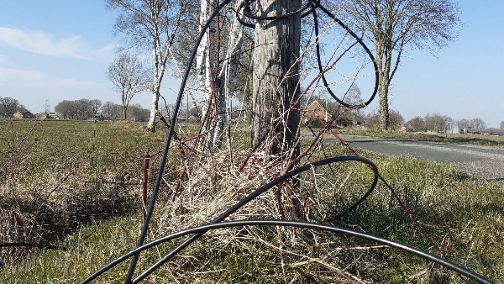 Die Stürme im Februar haben an den oberirdischen Leitugen an der »Spin's Lohne« in Boen für einigen Kabelsalat gesorgt. © Foto: Berents