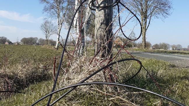 Boenster seit drei Wochen ohne Netz