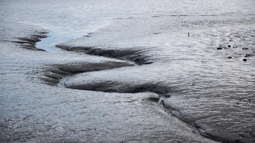 Das Wattenmeer habe zwar eine Grenze auf der Karte, diese sei für Meeresströme aber keineswegs starr. »Da fließt ja Wasser hindurch und was in der Nähe des Nationalparks ins Wasser eingebracht wird, wird auch im Nationalpark landen«, sagte Akkermann mit Blick auf mögliche Verunreinigungen durch die geplanten Gasförderungen im Nordseeboden. © Foto: Pixabay (Symbolbild)