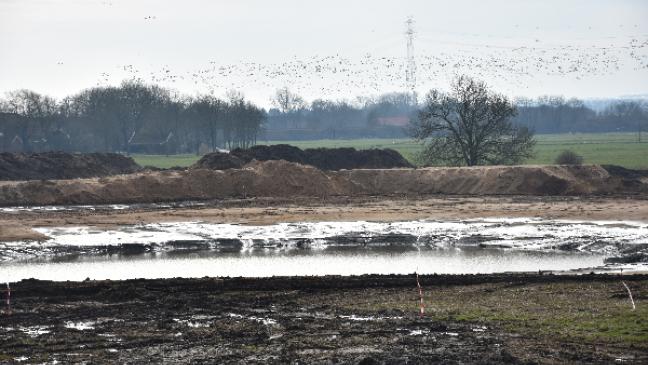 Erster Tidepolder an der Ems nimmt Gestalt an