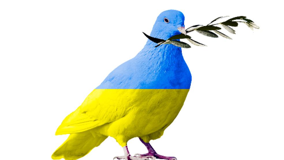 Solidarität mit den Menschen in der Ukraine, die unter dem russischen Angriffskrieg leiden, wird am kommenden Freitag auf einer Kundgebung am Jemgum Hafen gezeigt. © Foto: Pixabay (Symbolbild)