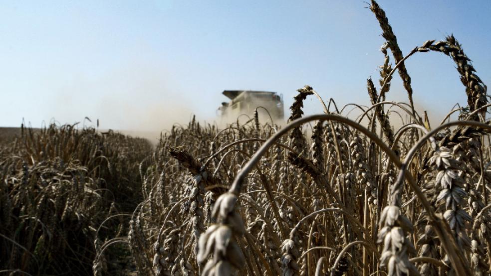 Ein Mähdrescher auf einem Weizenfeld. Durch den Krieg in der Ukraine wird ein globaler Getreidemangel befürchtet. © Foto: dpa