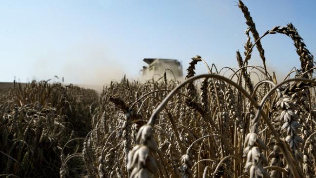 Mehr anbauen geht nicht