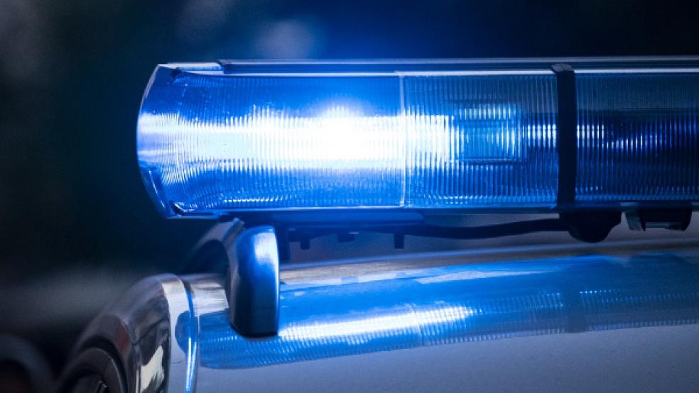 Ein Vortest der Polizei ergab einen Alkoholwert von 1,59 Promille. © Foto: Pixabay (Symbolfoto)