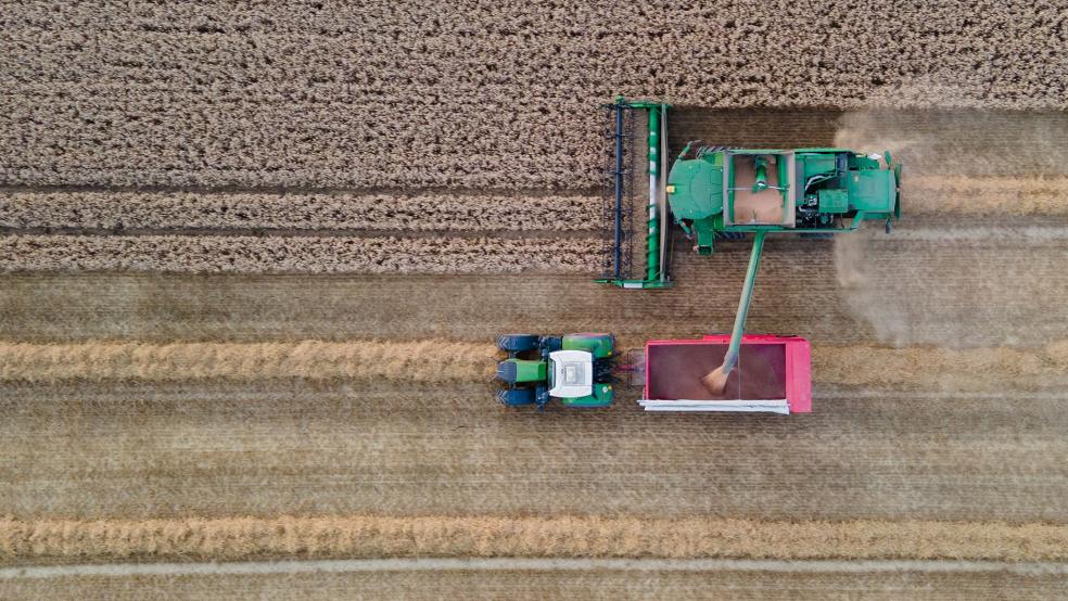 Getreide wird im Rheiderland hauptsächlich im Poldergebiet angebaut. Die Nutzung von Dauergrünland für den Ackerbau ist indes vor allem aufgrund seiner ökologischen Bedeutung für den Arten- und den Klimaschutz nicht ohne Weiteres möglich. In Niedersachsen gilt seit 2010 ein sogenanntes Umbruchverbot. © Foto: Weller/dpa (Symbolfoto)
