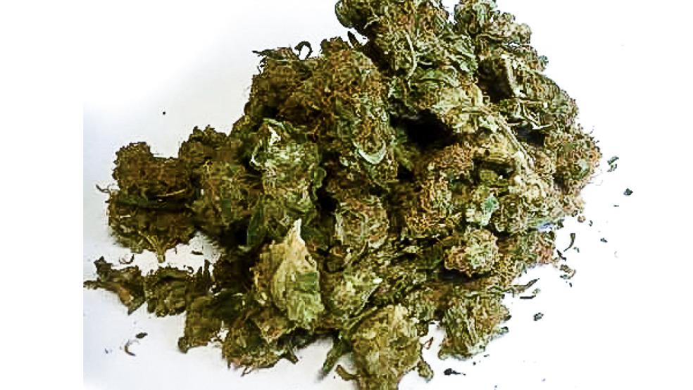 Das aufgefundene Sortiment erstreckte sich über Haschisch und Marihuana bis zu Amphetamin.  © Foto: Foto: Zoll