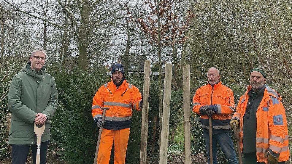 Pflanzten anlässlich des Umwelttages eine Rotbuche: Weeners Bürgermeister Heko Abbas (von links) und die Bauhof-Mitarbeiter Mathias Bosma, Geert Rops und Ingo Dirks.  © Foto: Busemann