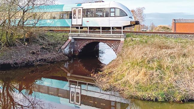 Busse ersetzen Züge