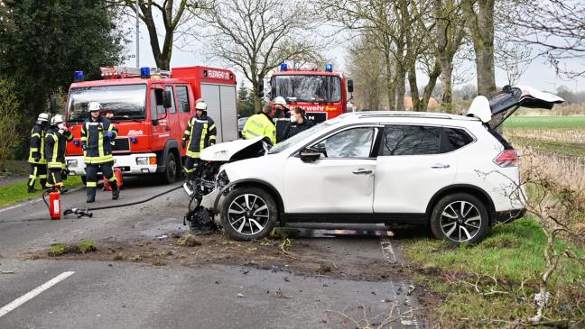 Nissan kracht gegen Baum