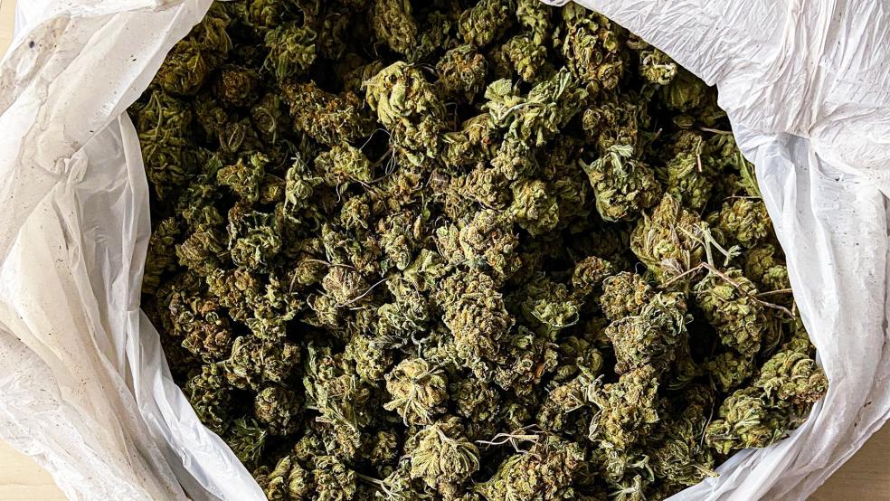 Bei einer Verkehrskontrolle bei Rhede fanden Zöllner eine Tüte mit 1050 Gramm Marihuana.  © Foto: Zoll