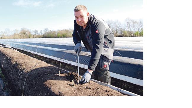 Spargel auf der Speisekarte