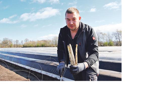 Der Spargel ist da