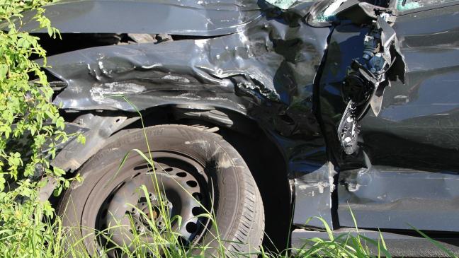 Autofahrer weicht Tier aus und verunglückt