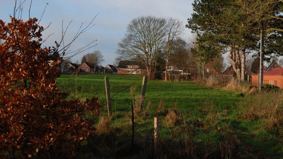 Die UWG im Rat der Stadt fordert, dass die Stadt dem Landkreis Leer zwar das Grundstück am Beningaweg für die geplante Dreifeld-Turnhalle zur Verfügung stellt, sich aber nicht mit zwei Millionen Euro an den Hallenbaukosten beteiligt.  © Foto: Hoegen