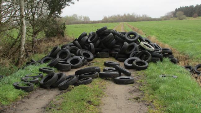 Über 100 Reifen illegal entsorgt