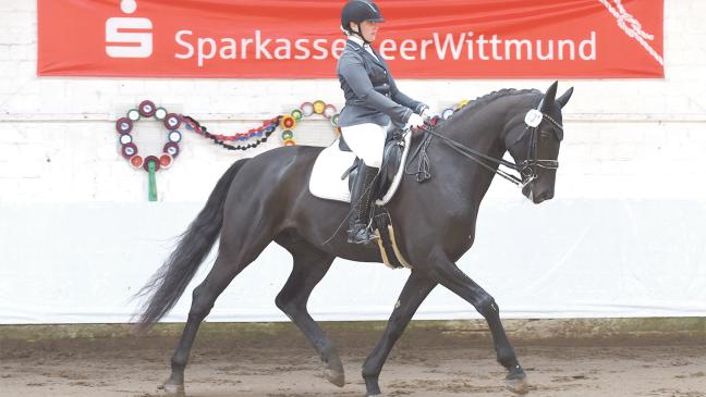 Visscher und Bruns sind Hallenmeisterinnen
