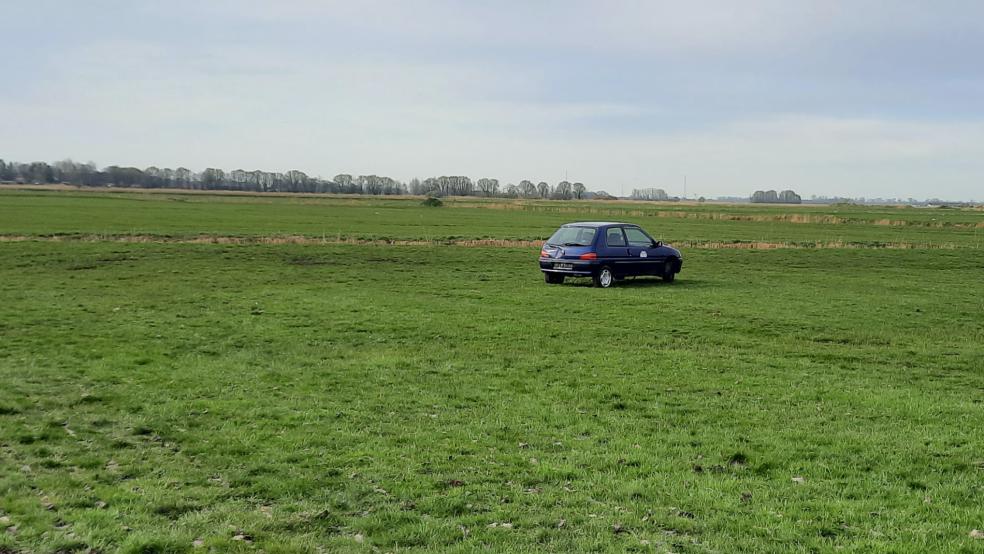 Auf Weiden in Bingum stehen Autos herum. Landwirte nutzen sie zu einem bestimmten Zweck.  © Syzska