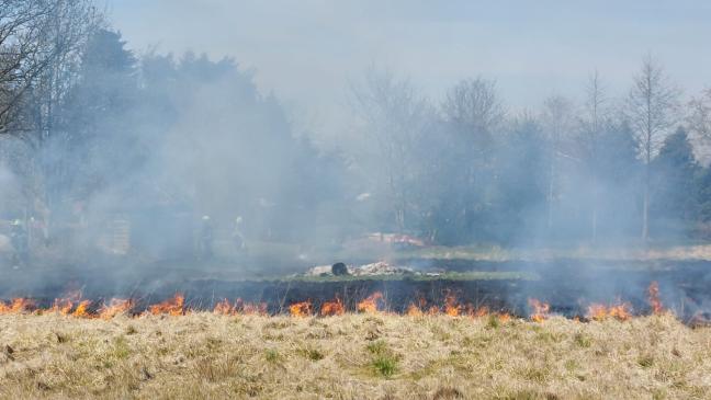 Osterfeuer außer Kontrolle: Großbrand in Warsingsfehn