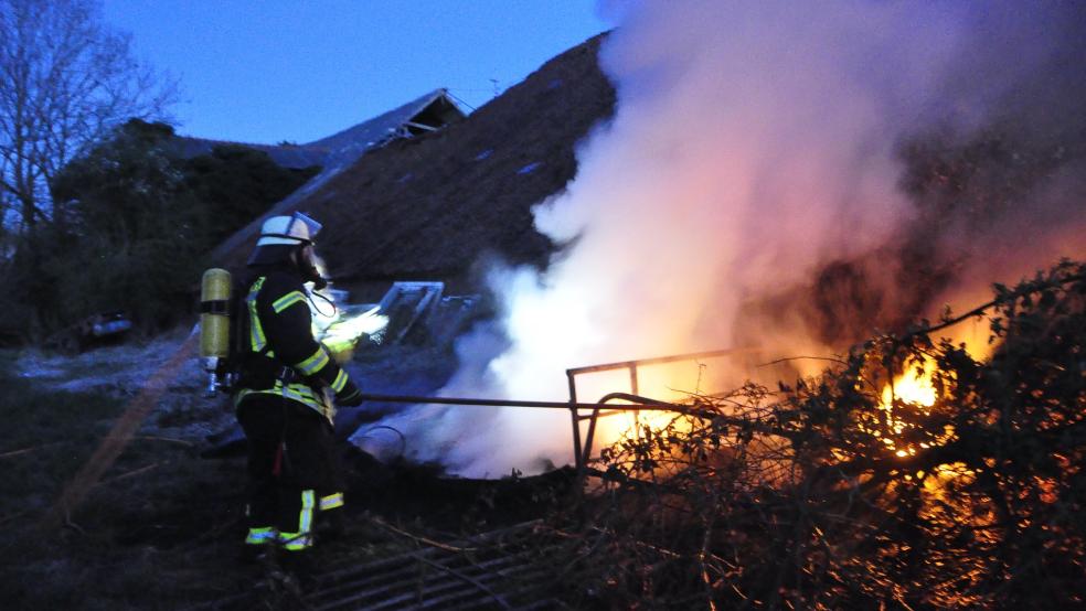 Brennende Reifen haben in Nüttermoor am Samstag starken Rauch ausgelöst. © Wolters