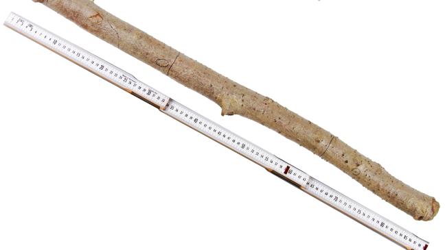 Zeugen nach versuchtem Raubmord gesucht