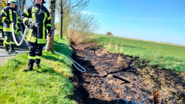 Fläche in Midlum in Brand geraten