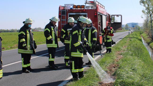 Flächenbrand am Straßenrand