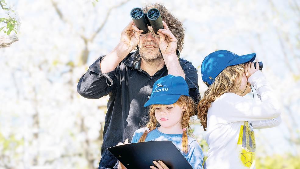 Der Nabu ruft zum Vögelzählen auf.  © Foto: Nabu Ostfriesland