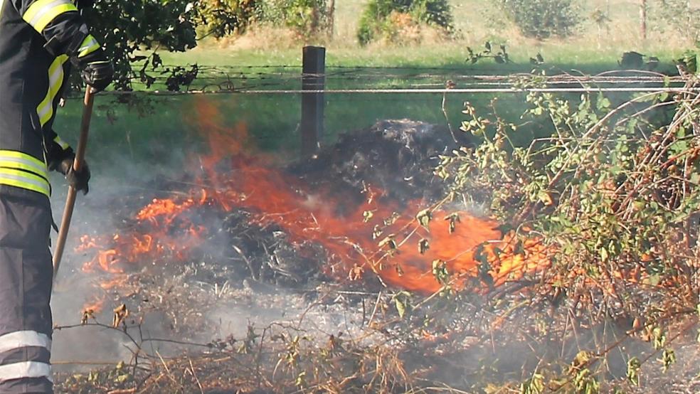 Einen Böschungsbrand, hier ein Archivbild von einem älteren Einsatz, hat die Feuerwehr heute in Halte gelöscht.<br />  © Foto: Feuerwehr/Rand