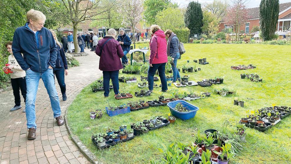 Neben einer großen Auswahl an mehrjährigen Pflanzen wurden auch Dekorationen für Haus und Garten angeboten. Hinzu kamen ein kleiner Trödelmarkt, eine Mähroboter-Demonstration sowie Stände des Naturschutzbundes und des Imkers Manning aus Möhlenwarf. © Foto: Kuper