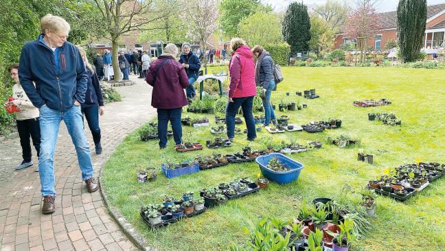 Gartenfest mit Staudenbörse, Frühstück und Marmelade