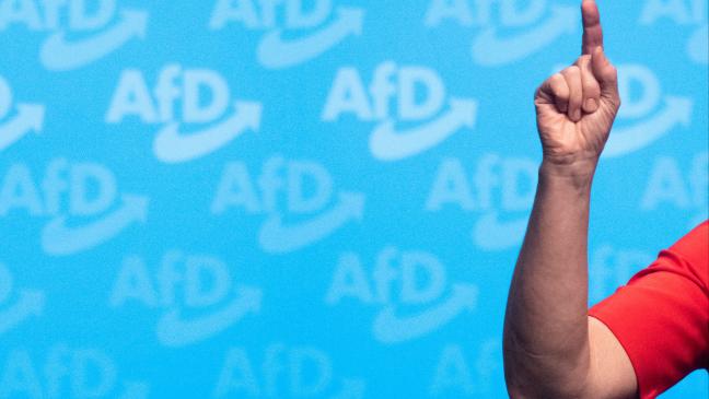 Gericht lehnt AfD-Antrag ab