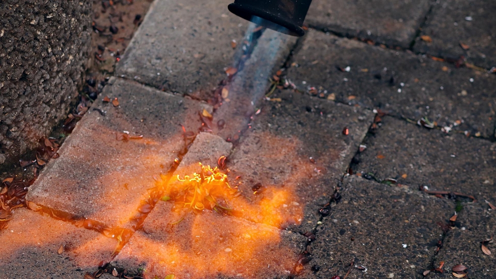 Durch ein Abflammgerät (Beispielbild) geriet eine Hecke in Papenburg in Brand. © pixabay