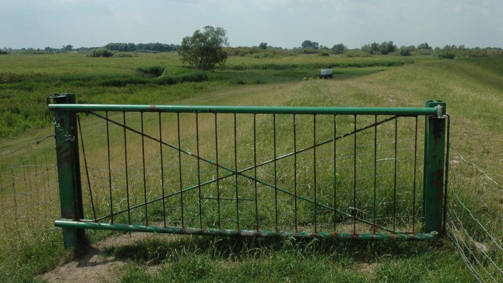 Das Naturschutzgebiet »Vellage« hat eine Größe von etwa 8,4 Hektar. Es befindet sich an der Ems zwischen Vellage im Nordwesten und der Gartenbausiedlung Halte im Osten.  © Foto: Szyska