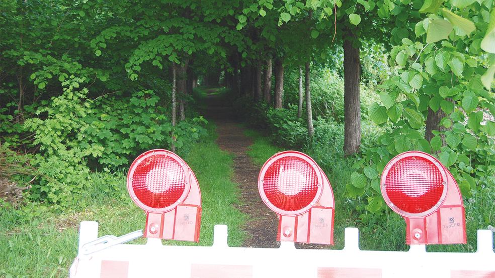 Die Lindenallee am Eingang des Naturparks Stapelmoor, hier von der Hauptstraße aus gesehen, ist das einzige gestaltete Element des Parks. Rechtlich gesehen könnte deshalb dieser Teil des Stapelmoorer Parks auch als Wald eingestuft werden.  © Foto: Hoegen
