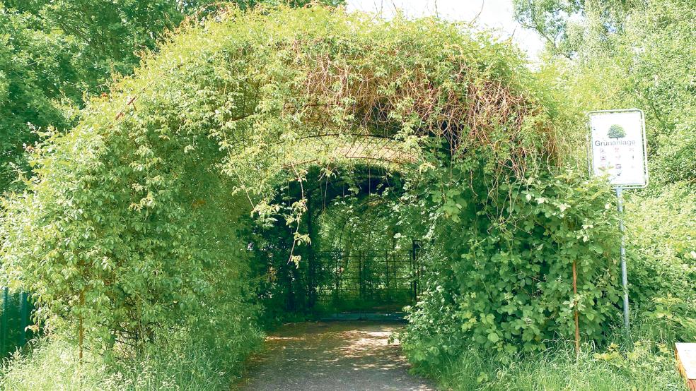 Zugang nur für Kunstfreunde, aber nicht für Park-Liebhaber? Mit der Teilnahme des Kunsthauses an der »Ostfriesland Biennale« ist ein Konflikt mir der Park-Sperrung entstanden.  © Foto: Hanken